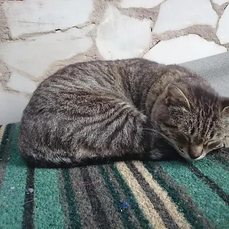 La Casita Domek alpejski